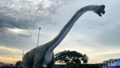 Pemakaian Lapangan Rondong Demang Ikut Dongkrak PAD Dispora Kukar